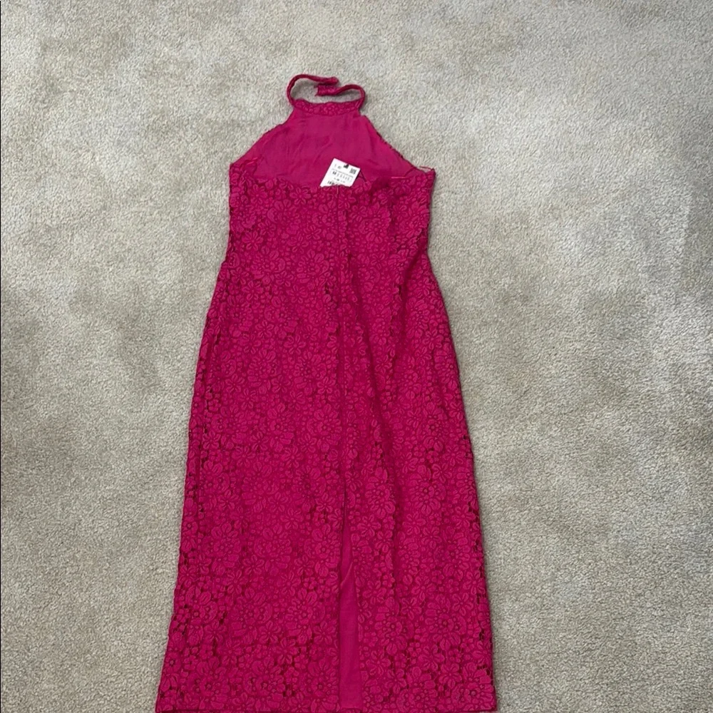 NWT Zara Pink Lace Dress